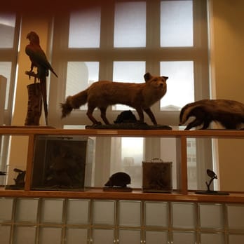 Manchester Museum - Museums Near Me - Manchester, XGM Manchester Museum - Museums Near Me - Manchester, XGM