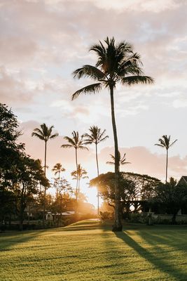 Hana-Maui Resort, a Destination by Hyatt Hotel by null