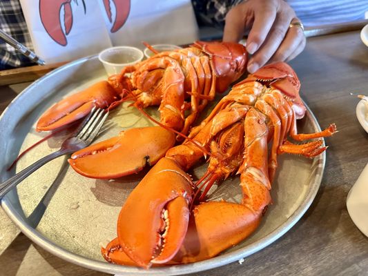 Nunan's Lobster Hut by null