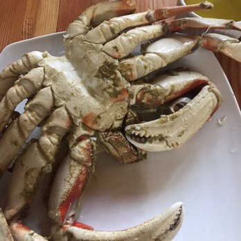 Shelter Lodge - Fresh crab and butter - Fishing Near Me Shelter Lodge - Fresh crab and butter - Fishing Near Me