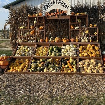 DeBucks Family Farm - Pumpkins for sale - Pumpkin Patches Near Me - Belleville, Michigan DeBucks Family Farm - Pumpkins for sale - Pumpkin Patches Near Me - Belleville, Michigan