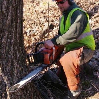 Favreau Forestry - Tree Removal Sudbury - Tree Services Near Me - Sterling, Massachusetts
