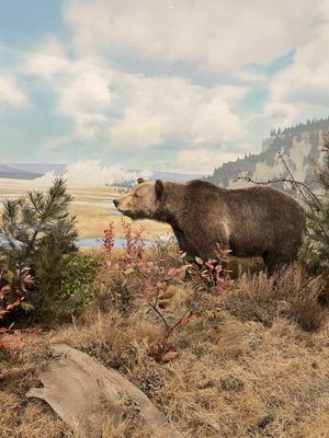 Denver Museum of Nature & Science by null