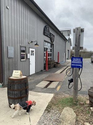 Little Fish Brewing Company by null