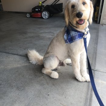 Urban Wag Pet Spa Arizona - Pet Groomers Near Me - Phoenix, Arizona Urban Wag Pet Spa Arizona - Pet Groomers Near Me - Phoenix, Arizona