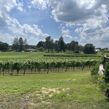 Two Lions Vineyards - Wineries Near Me - Upper Marlboro, Maryland