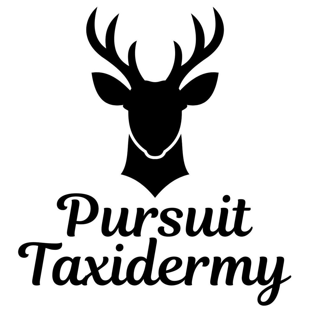 Pursuit Taxidermy - taxidermy in Shipshewana, IN