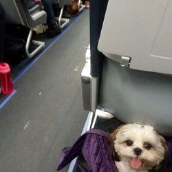 Allegiant Air - I'm on a plane!
