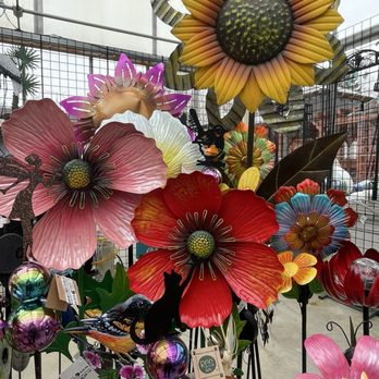 Caans - Florists Near Me - Sheboygan, Wisconsin Caans - Florists Near Me - Sheboygan, Wisconsin
