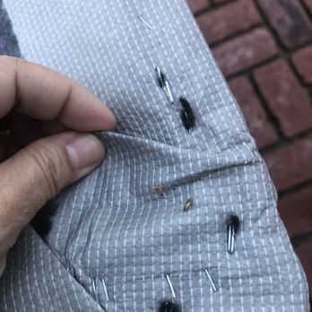 Living Spaces - Two more dead bed bugs in the bed board - Furniture Stores Near Me - Irvine, California