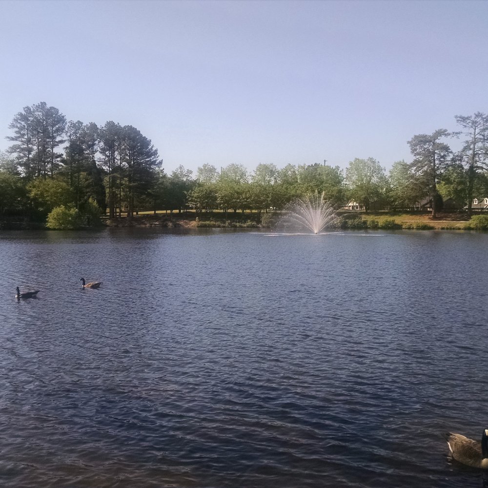 Briscoe Park - The perfect place to be on Earth Day! - Parks Near Me - Snellville, Georgia Briscoe Park - The perfect place to be on Earth Day! - Parks Near Me - Snellville, Georgia