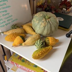 Happy Roots Learning Center
