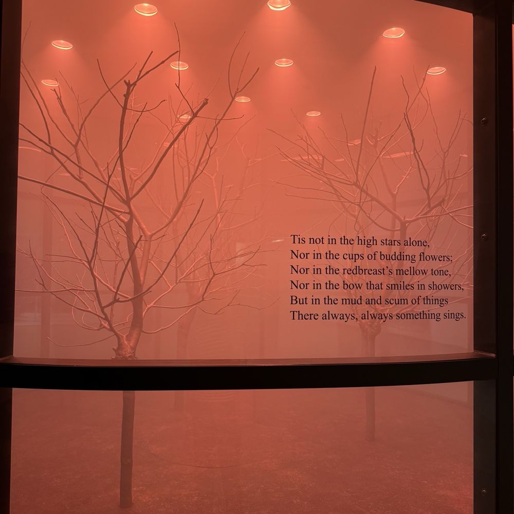 Phoenix Art Museum - Art Museums Near Me - Phoenix, Arizona