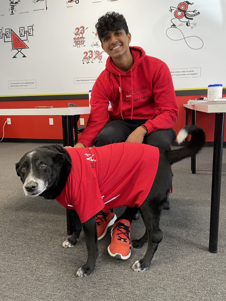 Mathnasium - reading tutor in Broadview Heights, OH