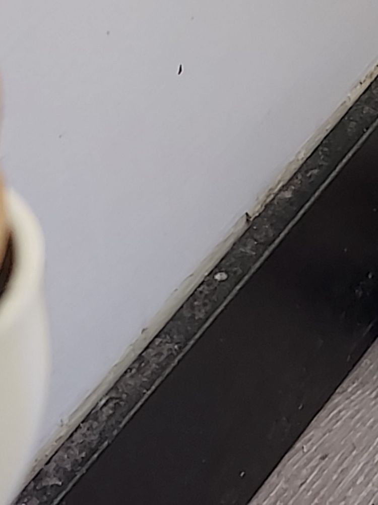 DAVI NAILS Updated October 2024 82 Photos & 13 Reviews 2300 S