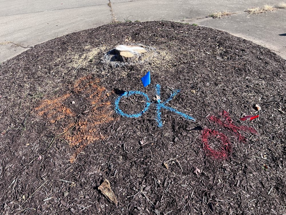 MIDWEST STUMP Updated April 2024 17 Photos Swansea, Illinois