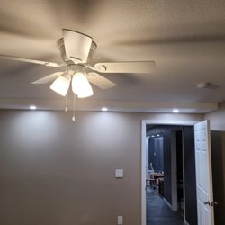 Electrical Pros - Ceiling fan and 4" wafers.