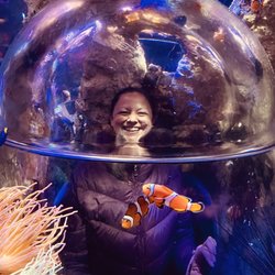 Sea Life Gardaland