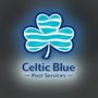 Celtic Blue Pool Services