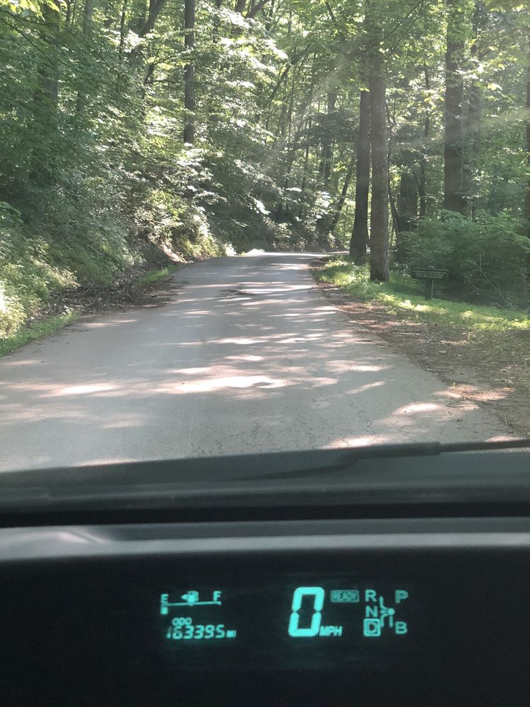 Social spots from Kanawha State Forest