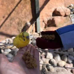 Bee City Zoo