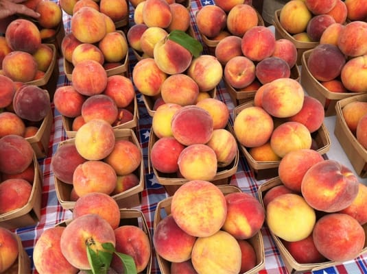 South Durham Farmers' Market by null