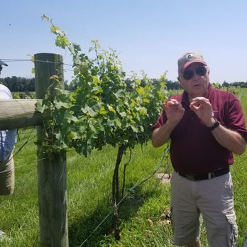 Shenandoah Wine Tours - Outside part of our tour at wolf gap - Wine Tours Near Me