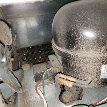 Invitation Homes - Fridge was running hard and full of roach nest, also vent clogged - Property Management Near Me - Bellevue, Washington Invitation Homes - Fridge was running hard and full of roach nest, also vent clogged - Property Management Near Me - Bellevue, Washington