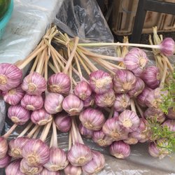 White Bear Lake Farmers Market