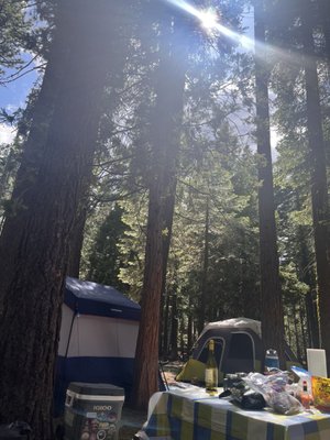 William Kent Campground by null