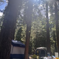 William Kent Campground - We set up camp amongst the beautiful trees.