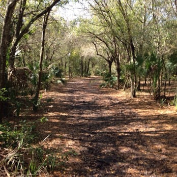 Cypress Breeze Farm - More of trail - Horseback Riding Near Me - Pinellas Park, Florida Cypress Breeze Farm - More of trail - Horseback Riding Near Me - Pinellas Park, Florida