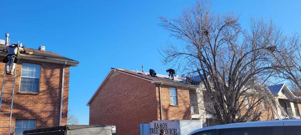 Slide of MR Lopez Painter