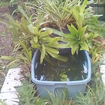Pet Supermarket - My pond - Pet Stores Near Me - Stuart, Florida