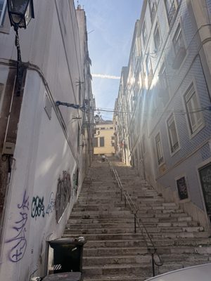 Feira da Ladra by null