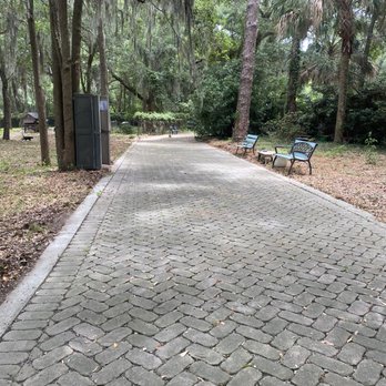 All About Cats - Animal Shelters Near Me - Hilton Head Island, South Carolina All About Cats - Animal Shelters Near Me - Hilton Head Island, South Carolina