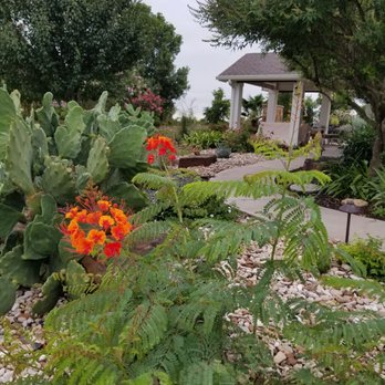 Immaculate Outdoor - Plant design enhancing the back walkway. - Landscaping Near Me - Leander, Texas Immaculate Outdoor - Plant design enhancing the back walkway. - Landscaping Near Me - Leander, Texas