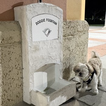 Coconut Point - They have a doggie fountain - Shopping Centers Near Me - Estero, Florida