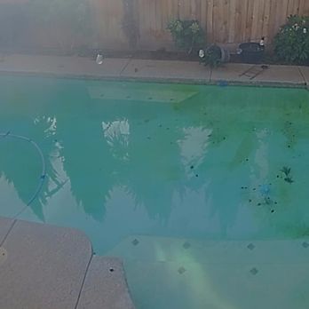 Ortega Pool Care - Before - Pool Cleaners Near Me