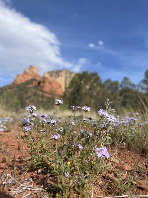 Devil's Bridge Trailhead by null