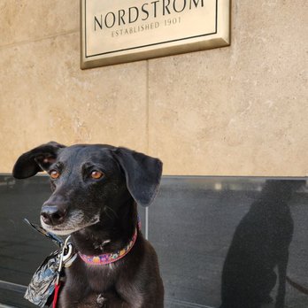 Nordstrom City Creek Center - Vida approves. - Department Stores Near Me - Salt Lake City, Utah Nordstrom City Creek Center - Vida approves. - Department Stores Near Me - Salt Lake City, Utah