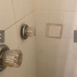 Mildew everywhere