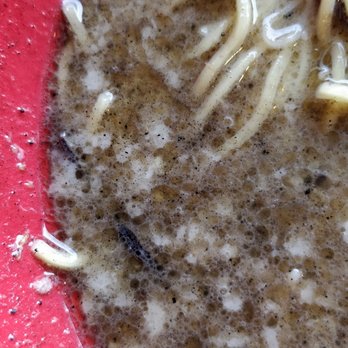 Kai Ramen - Arcadia - Lots of fat globs.... Gross... - Ramen Near Me - Arcadia, California Kai Ramen - Arcadia - Lots of fat globs.... Gross... - Ramen Near Me - Arcadia, California