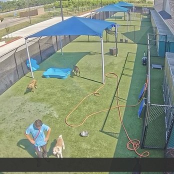 Pet Paradise Dripping Springs - Pet Boarding Near Me - Austin, Texas Pet Paradise Dripping Springs - Pet Boarding Near Me - Austin, Texas