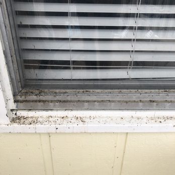 Siebert Realty - Filthy window - Vacation Rentals Near Me - Virginia Beach, Virginia