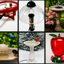 Oakridge Toys & Hobbies