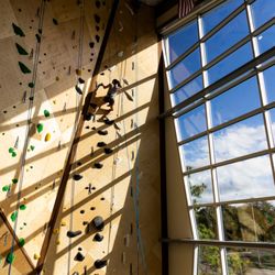 Stone Climbing - Rope climbing in Jacksonville.