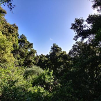 Wunderlich Park - Parks Near Me - Woodside, California