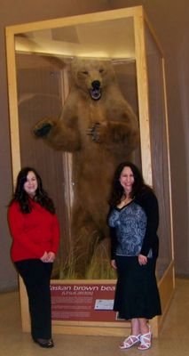 Buffalo Museum of Science by null