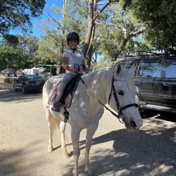 Breezy Meadow Stables